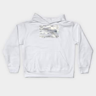 Arctic Fox #2, on the Tundra, Hudson Bay, Canada Kids Hoodie